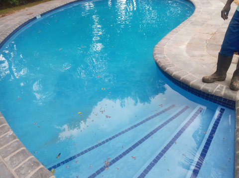 Swimming Pool Cleaning